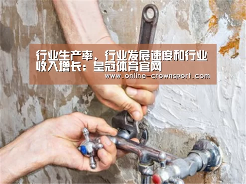 行业生产率、行业发展速度和行业收入增长:皇冠体育官网(图1) 皇冠体育app