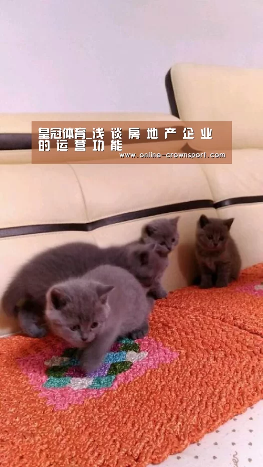 皇冠体育_浅 谈 房 地 产 企 业 的 运 营 功 能(图1) 皇冠体育app